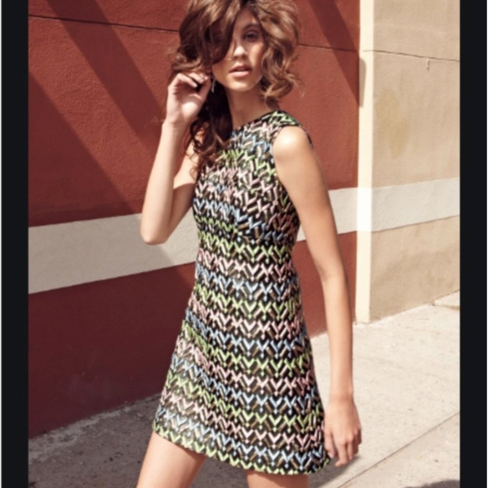 MILLY /Luxury Metallic A-line Multi Dress 6